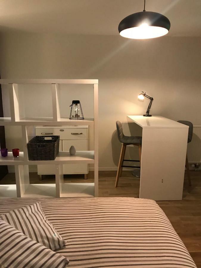 Large Studio Near Epfl And Lausanne City Center Ecublens  Экстерьер фото