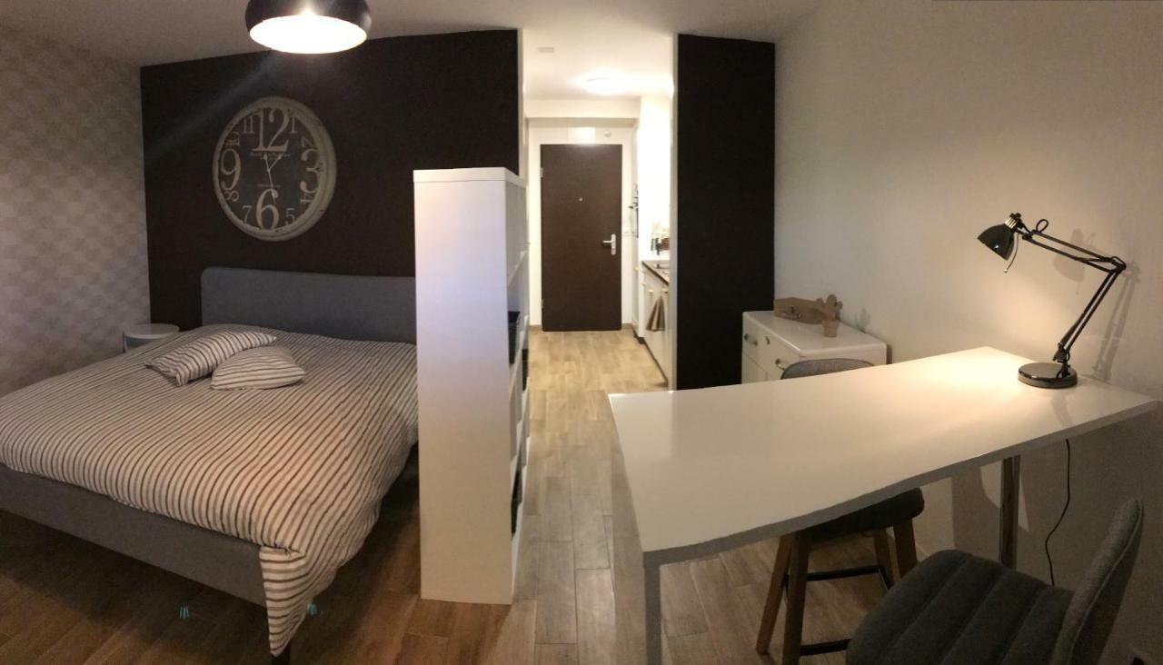 Large Studio Near Epfl And Lausanne City Center Ecublens  Экстерьер фото