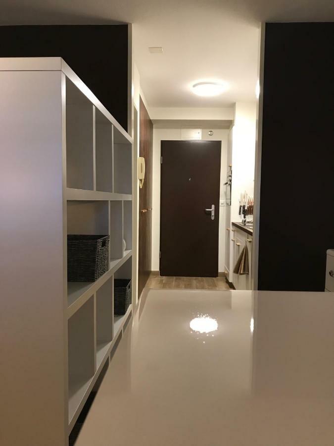 Large Studio Near Epfl And Lausanne City Center Ecublens  Экстерьер фото